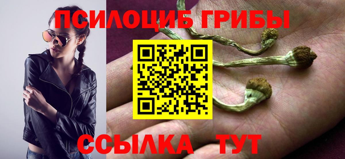 Псилоцибиновые грибы мухоморы  Вход с VPN  Псилоцибиновые грибы мухоморы  Магадан 